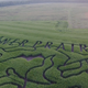 Illustration for article titled A Foolproof Guide To Escaping A Corn Maze